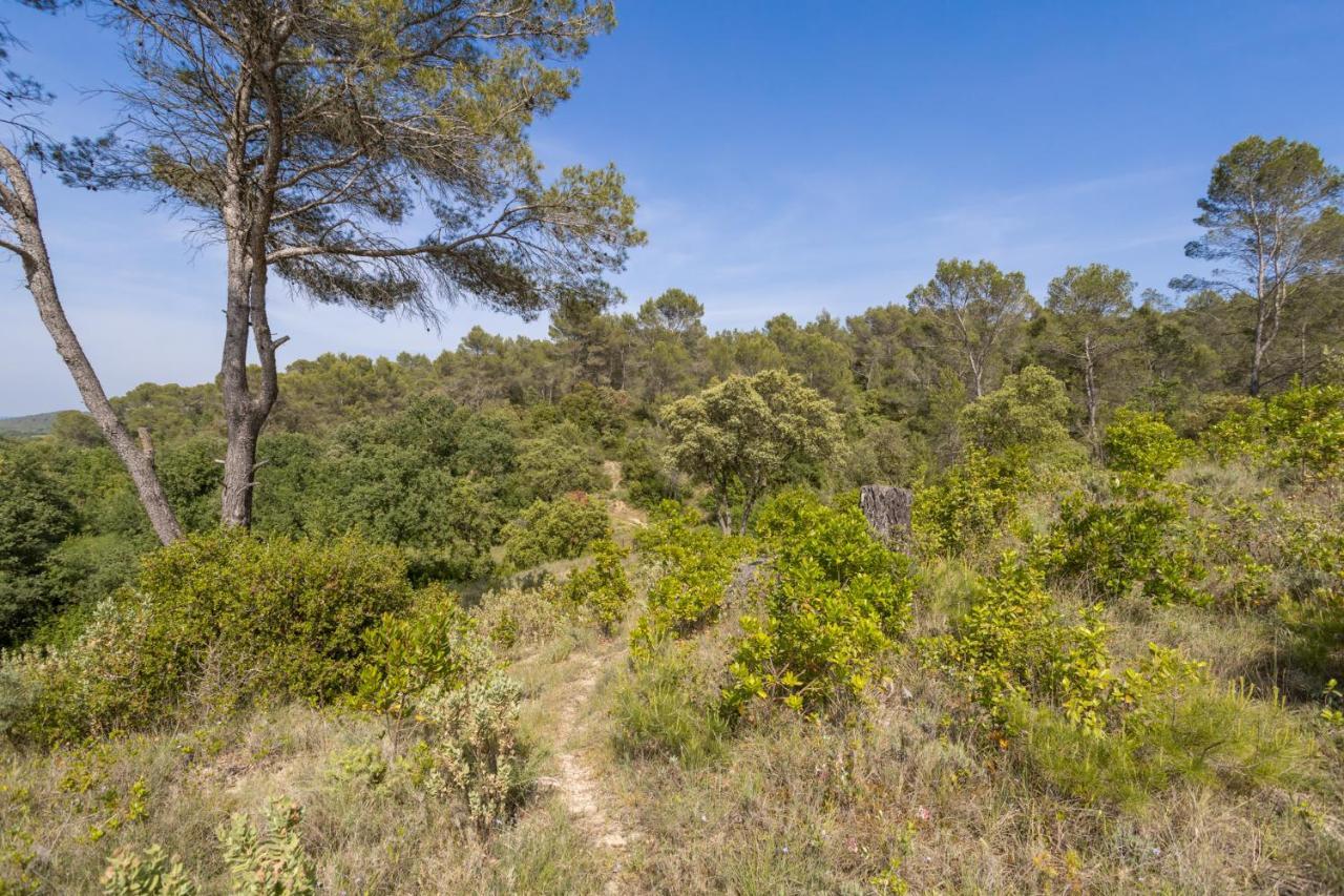 Petit Paradis Garrigue Villa Moulézan Exterior photo